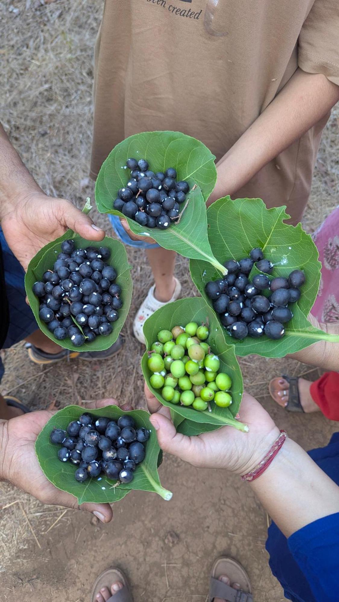Arpita Farmstay Mālvan 외부 사진
